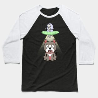 Cute grey dog is abducted by aliens Baseball T-Shirt